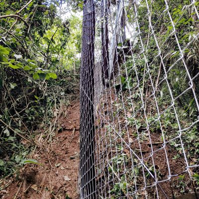 Alambrado instalado por Telas Prime em terreno inclinado com vegetação densa.