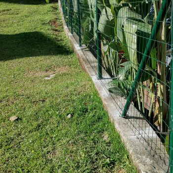 Tela soldada revestida em PVC verde instalada em área residencial externa