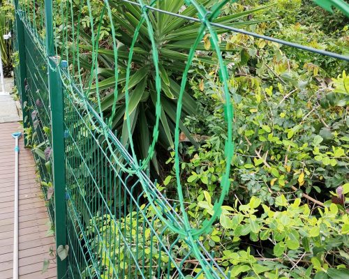 instalação de concertina em gradil metálico residencial Balneário Camboriú Estaleiro SC
