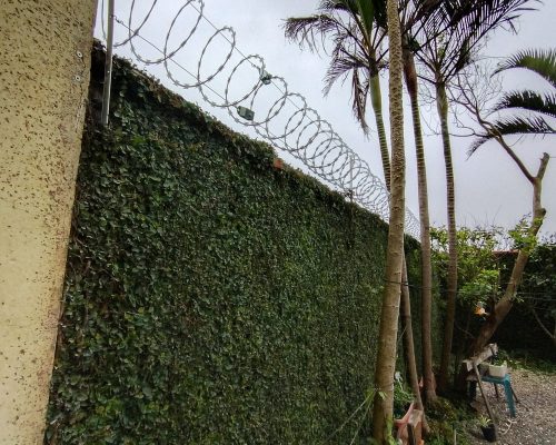concertina instalada em muro residencial Navegantes SC
