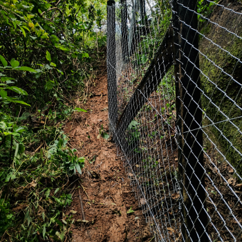 instalação de alambrado em terreno com desnível Florianópolis SC