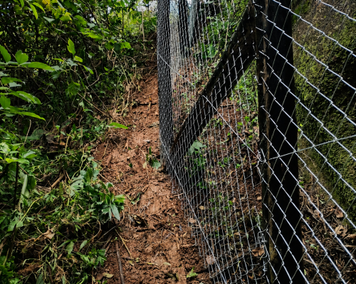 instalação de alambrado em terreno com desnível Florianópolis SC