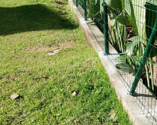Instalação de Tela Soldada Residencial Itajaí SC